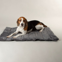 Scruffs Expedition vandeniui atspari susukama kelioninė lova šunims