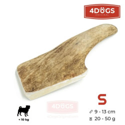4DOGS Fallow Deer Antler elnio ragas - Zoobazė.lt
