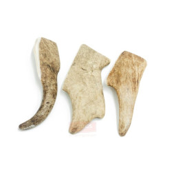 4DOGS Fallow Deer Antler elnio ragas - Zoobazė.lt