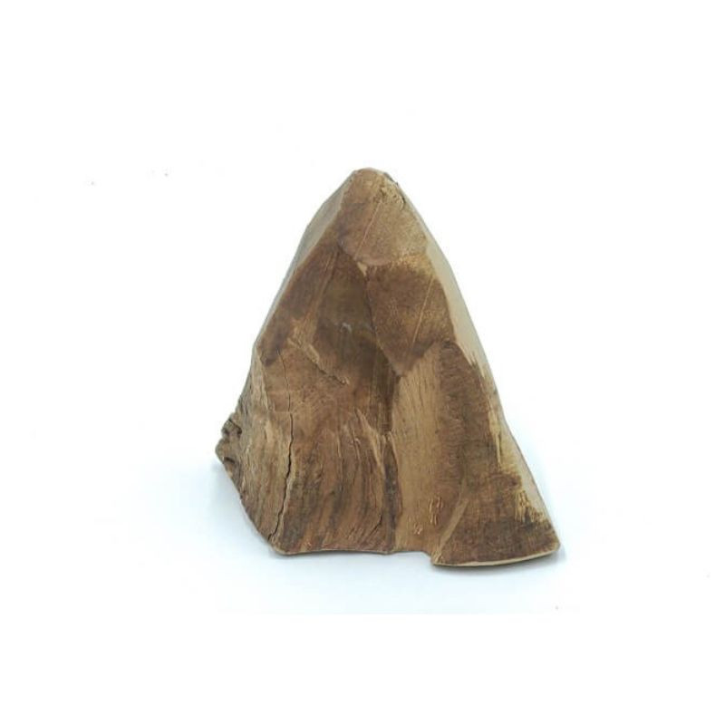 4DOGS Root viržio šaknies kramtalas - Zoobazė.lt