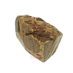 4DOGS Root viržio šaknies kramtalas - Zoobazė.lt