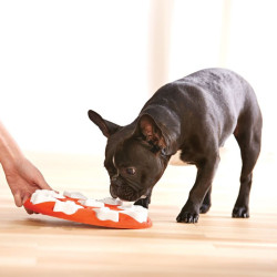 Nina Ottosson Dog Smart lavinantis žaislas su talpa skanėstams oranžinis - Zoobaze.lt