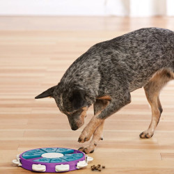 Nina Ottosson Dog Twister lavinantis žaislas su talpa skanėstams violetinis -Zoobaze.lt