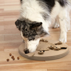 Nina Ottosson Dog Worker lavinantis žaislas su talpa skanėstams rudas - Zoobaze.lt