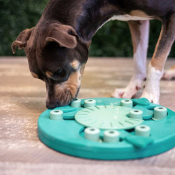 Nina Ottosson Dog Worker lavinantis žaislas su talpa skanėstams žalias - Zoobaze.lt