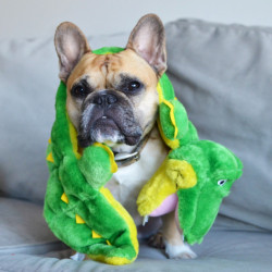 Outward Hound Squaker Matz pliušinis krokodilas šunims XL - Zoobaze.lt