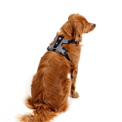 Ezydog X-Link petnešos šunims - Zoobazė.lt