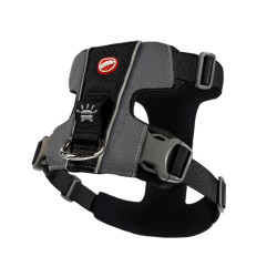 Ezydog X-Link petnešos šunims - Zoobazė.lt