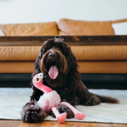 P.L.A.Y. Fetching Flock flamingas žaislas šunims - Zoobaze.lt