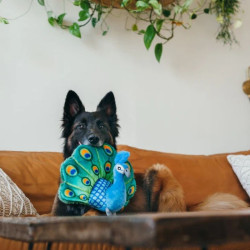 P.L.A.Y. Fetching Flock povas žaislas šunims - Zoobaze.lt