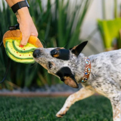 P.L.A.Y. Barking Brunch sumuštinis su avokadu žaislas šunims - Zoobaze.lt