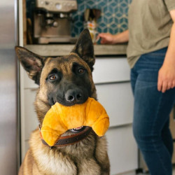 P.L.A.Y. Barking Brunch kruasanas žaislas šunims - Zoobaze.lt