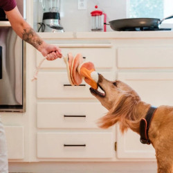 P.L.A.Y. IHOP blyneliai žaislas šunims - Zoobaze.lt