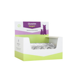 Stangest GlutaVet maisto papildas šunims ir katėms - Zoobaze.lt