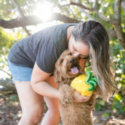 P.L.A.Y. Tropical Paradise ananasas žaislas šunims - Zoobaze.lt