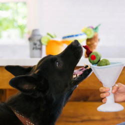 P.L.A.Y. Barktender kokteilis žaislas šunims - Zoobazė.lt