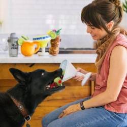 P.L.A.Y. Barktender kokteilis žaislas šunims - Zoobazė.lt