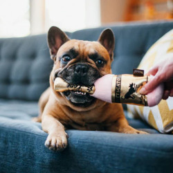 P.L.A.Y. Barking Bubbly šampanas žaislas šunims - Zoobazė.lt