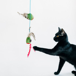 P.L.A.Y. Feline Frenzy lazdelė su alyvuogių žaisliukais katėms - Zoobazė.lt