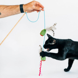 P.L.A.Y. Feline Frenzy lazdelė su alyvuogių žaisliukais katėms - Zoobazė.lt