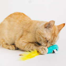 P.L.A.Y. Feline Frenzy pliušiniai žaisliukai katėms - Zoobazė.lt