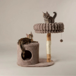 Scruffs Himalayas draskyklė katėms - Zoobazė.lt