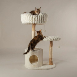 Scruffs Colorado draskyklė katėms - Zoobazė.lt