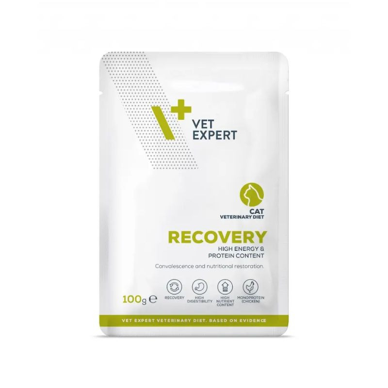 VetExpert Veterinary Diet Recovery guliašas katėms - Zoobaze.lt