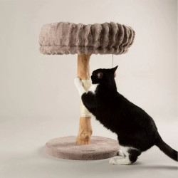 Scruffs Appalachians draskyklė katėms - Zoobazė.lt