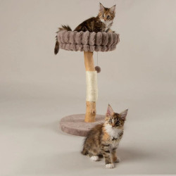 Scruffs Appalachians draskyklė katėms - Zoobazė.lt