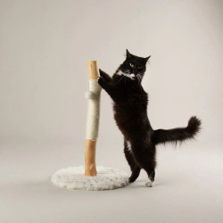 Scruffs Rockies draskyklė katėms - Zoobazė.lt