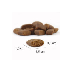 Platinum Adult sausas pašaras su vištiena šunims - Zoobazė.lt