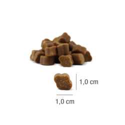 Platinum Fit-Bits Protect skanėstai su vištiena šunims - Zoobazė.lt