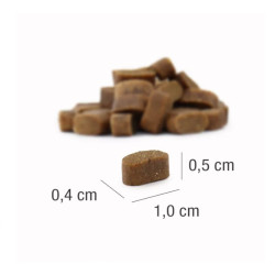 Platinum Mini sausas pašaras su kiauliena mažų veislių šunims - Zoobazė.lt