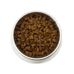 Platinum Mini sausas pašaras su kiauliena mažų veislių šunims - Zoobazė.lt