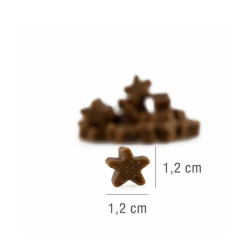 Platinum Stars skanėstai su lašiša šunims - Zoobazė.lt