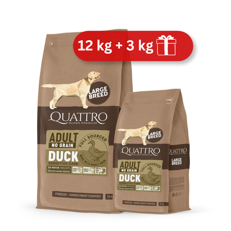Quattro Grain Free sausas pašaras su antiena didelių veislių šunims