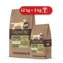 Quattro Grain Free sausas pašaras su antiena didelių veislių jauniems šunims
