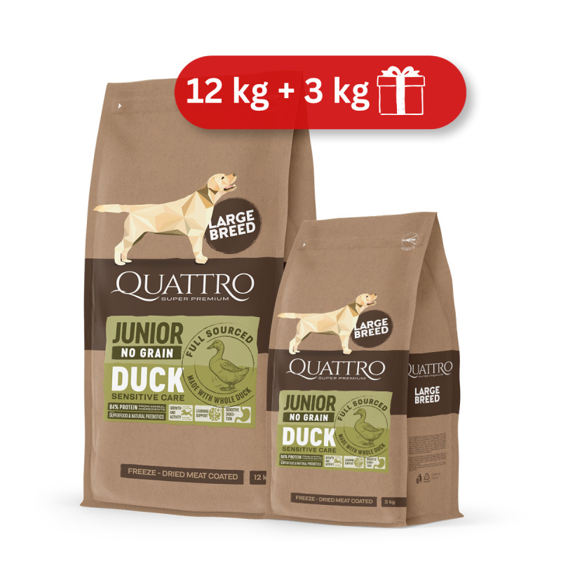 Quattro Grain Free sausas pašaras su antiena didelių veislių jauniems šunims