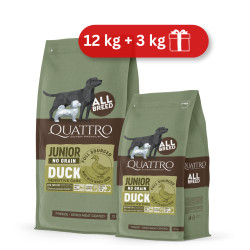 Quattro Grain Free sausas pašaras su antiena jauniems šunims