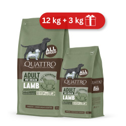 Quattro Grain Free sausas pašaras su ėriena suaugusiems šunims