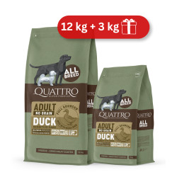 Quattro Grain Free sausas pašaras su antiena suaugusiems šunims
