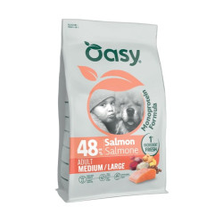 Oasy Monoprotein Medium/Large sausas pašaras su lašiša didesnių veislių šunims