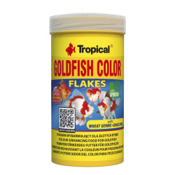 Tropical Goldfish Color pašaras žuvims