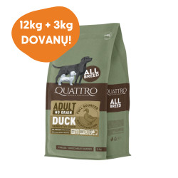 Quattro Grain Free sausas pašaras su antiena suaugusiems šunims - Zoobaze.lt
