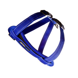 Ezydog Chest Plate petnešos su paminkštinimu šunims #6