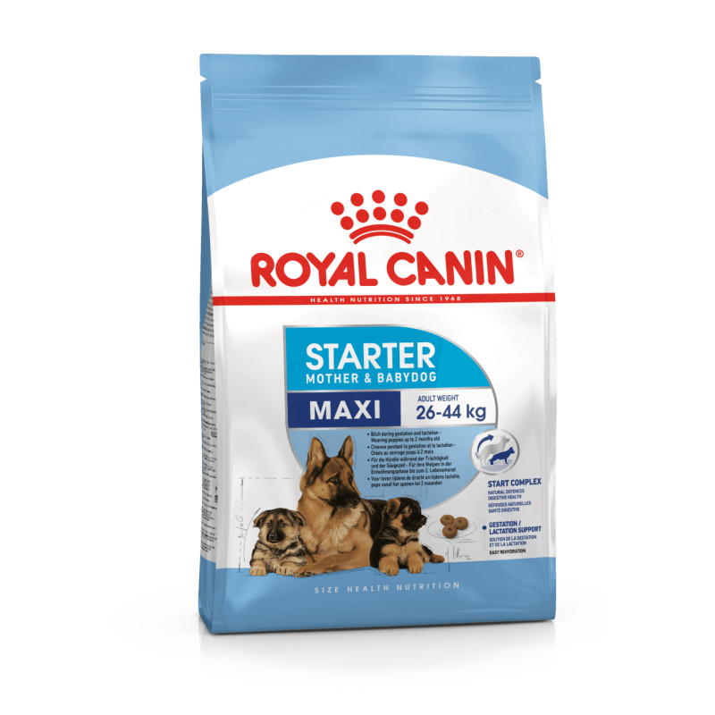 Royal Canin Maxi Starter sausas maistas šunims