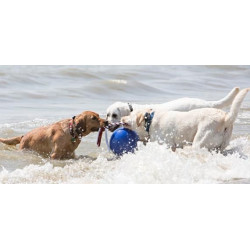 Ethical Products žaislas guminis kamuolys mėlynas su virve šunims