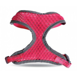 Record Pettorine petnešos šunims