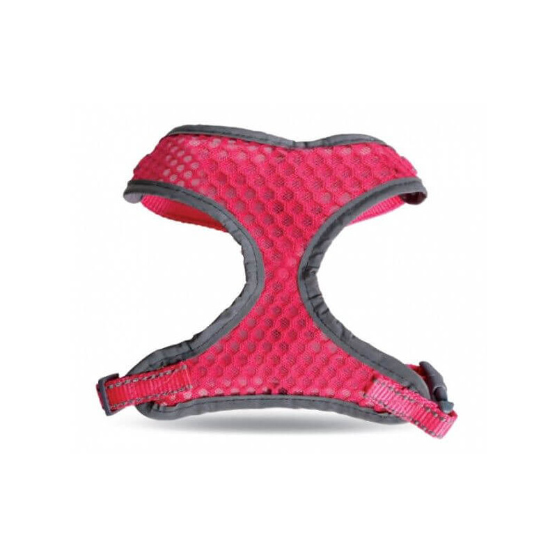 Record Pettorine petnešos šunims